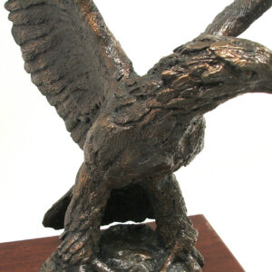 A bronze sculpture of the Eagle on a wooden base created by Master Sculptor Robert C Hitchcock. Bronze Sculpture by Artist and Master Sculptor Robert C Hitchcock