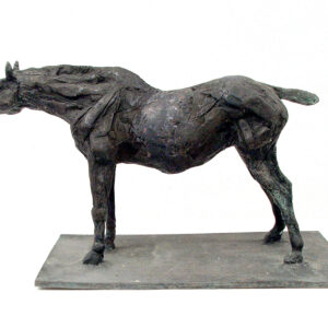 Bronze sculpture of a horse on white background by Australian sculptor Robert C Hitchcock