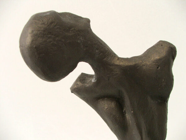 An Abstract Lady sculpture with a head tilted, created by artist and master sculptor Robert C Hitchcock. Bronze Sculpture by Artist and Master Sculptor Robert C Hitchcock