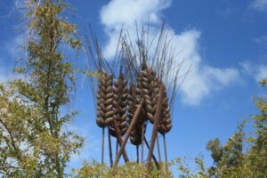 Giant bronze seedpod sculptures set against a blue sky with surrounding greenery. Sculptor - Robert C Hitchcock