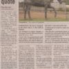 News article of Norseman - Life-sized bronze horse commissioned statue by sculptor Robert C Hitchcock