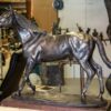 Northerly | Contemporary Sculpture of a horse created by artist and master sculptor Robert C Hitchcock in his workshop. Bronze Sculpture by Artist and Master Sculptor Robert C Hitchcock